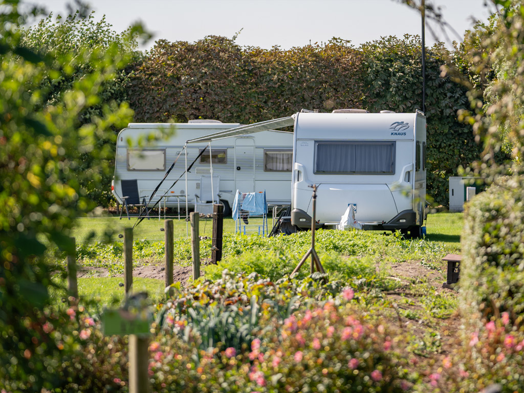 Boerderijcamping Varsenerveld 2