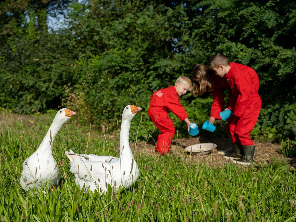 Farmcamps De Kalverliefde 9