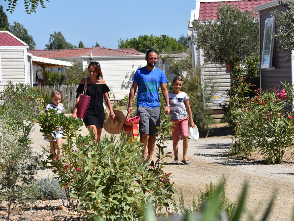 Camping Mas Des Lavandes 6