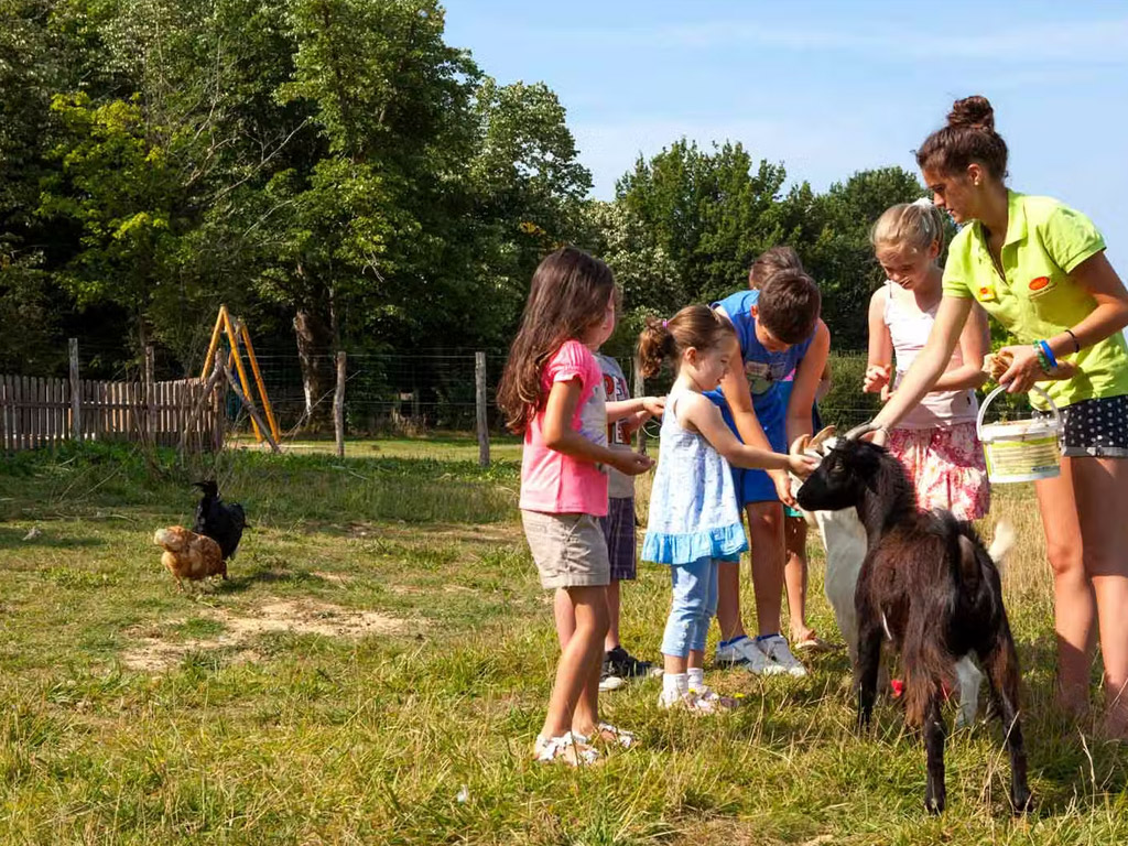 Marvilla Parks Camping Chateau La Foret 4