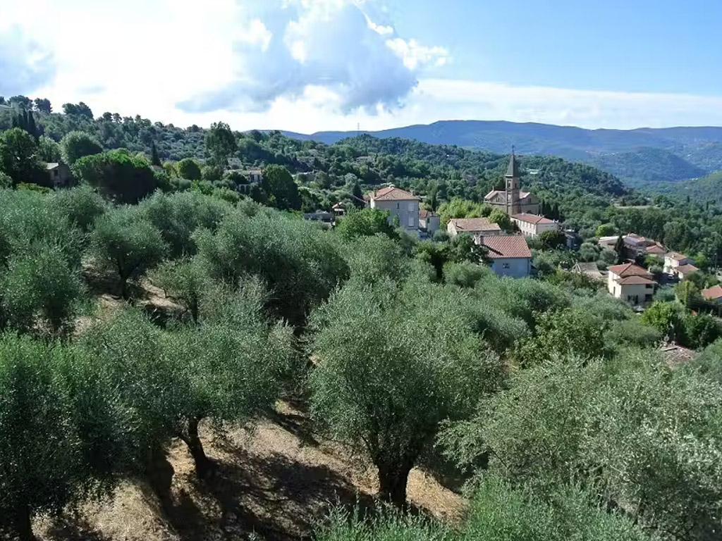 Camping La Ferme Riola 3