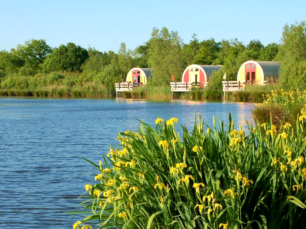 Camping de Watermolen - De in het oog springende chalets aan het water.