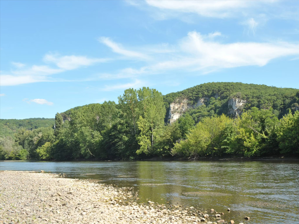 Flower Camping La Sagne 10