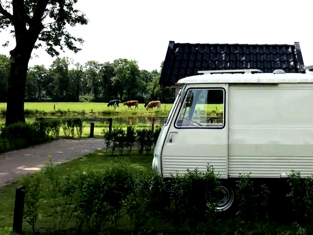 vuurwerkvrije camping