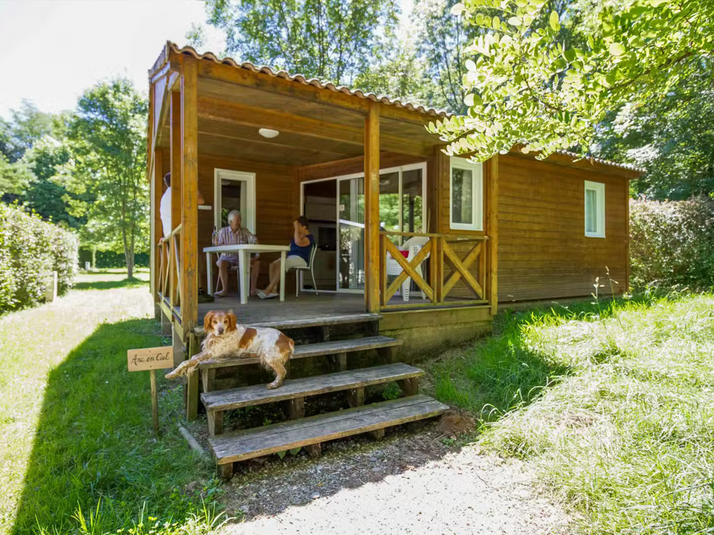 Flower Camping L Arize 5