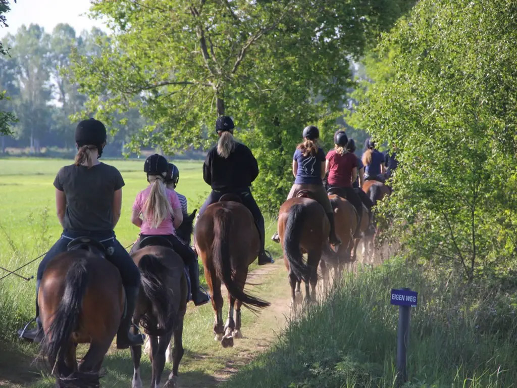 Kennismaken met het paardrijden tijdens je vakantie