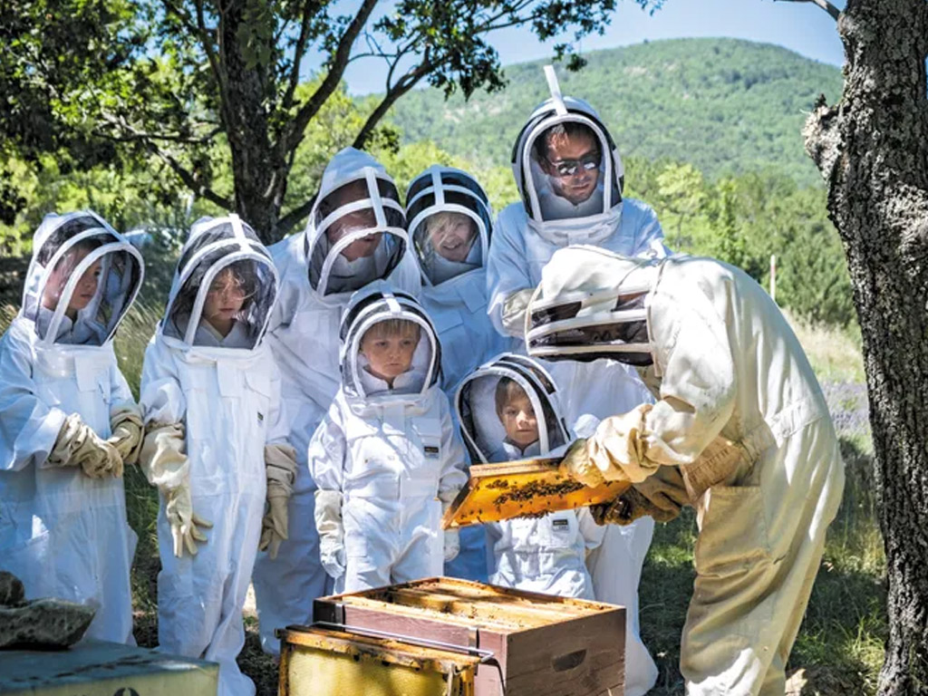 Huttopia Foret Des Vosges 7