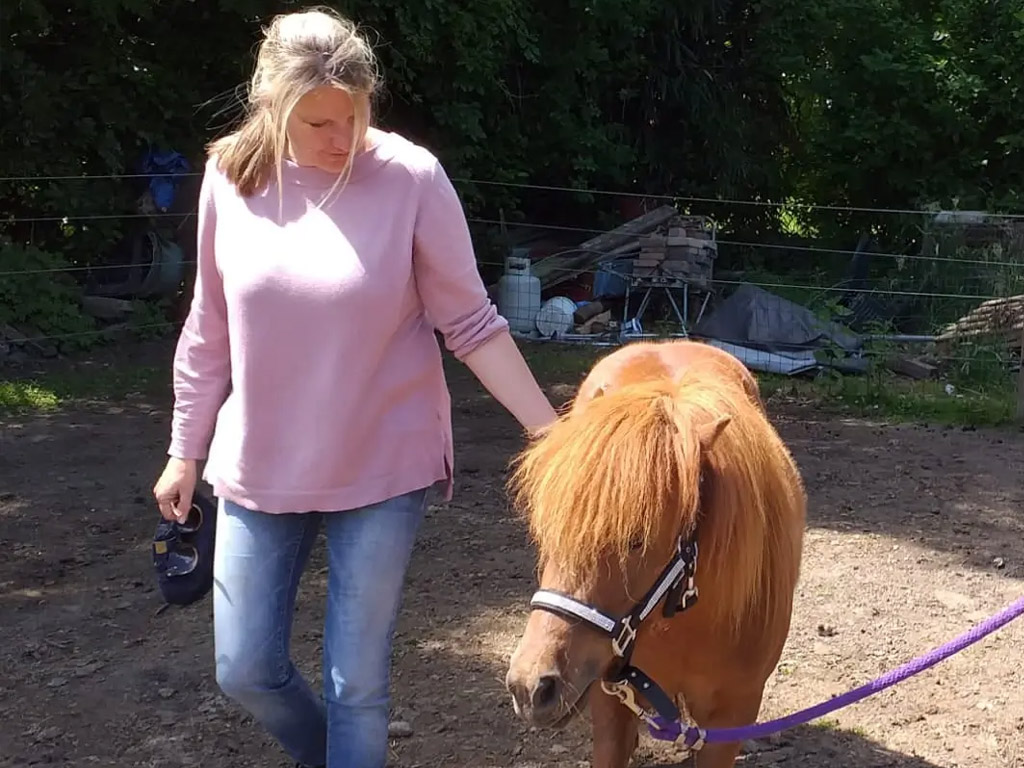 Camping De Dassenplas 10