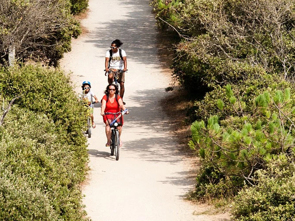 Camping La Pinede 10