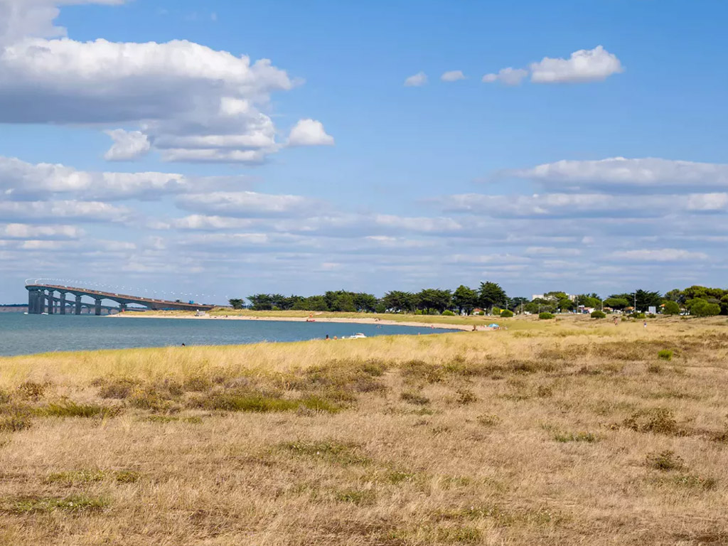 Flower Camping Le Platin 10