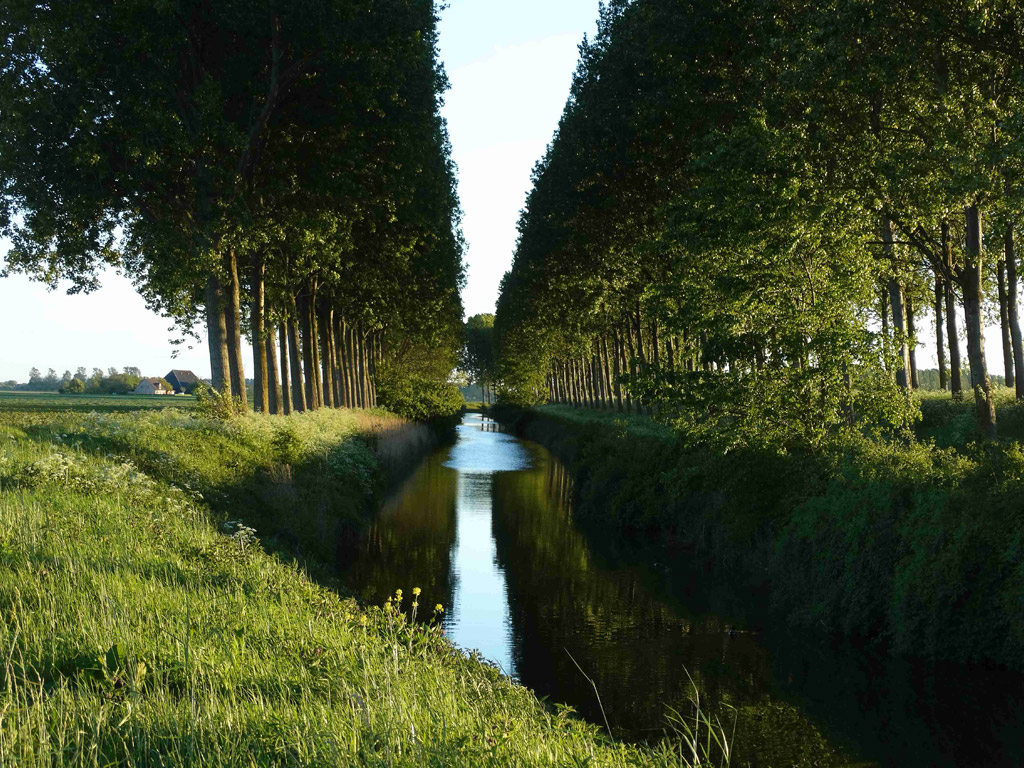 Camping De Boskreek 4