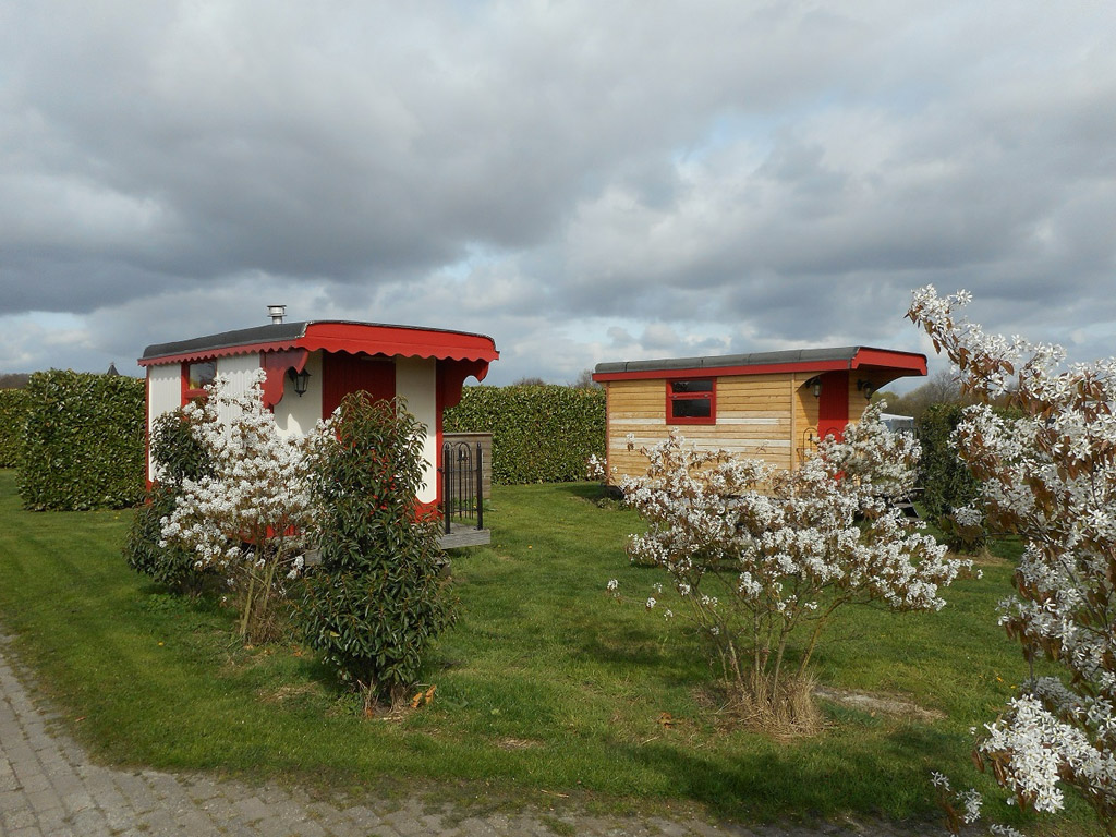 Camping De Dassenplas 5