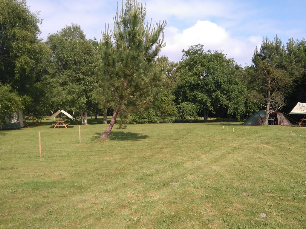 Les Grands Chenes Et Les Ajoncs 11