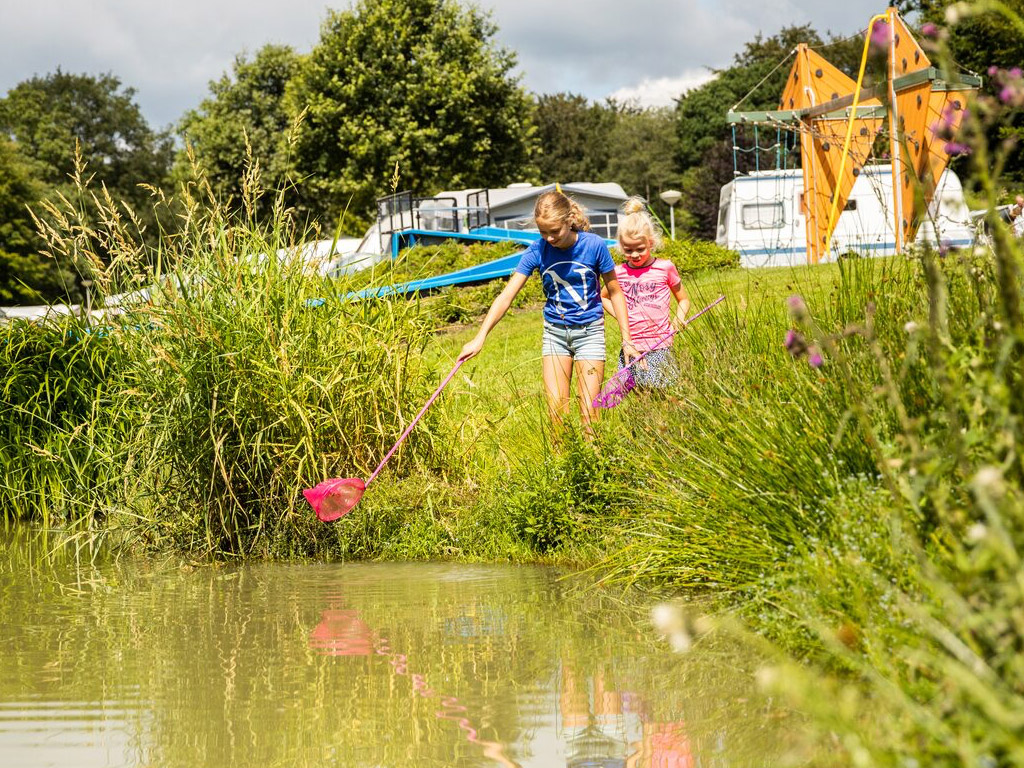 Vissen vanaf de Camping in Nederland
