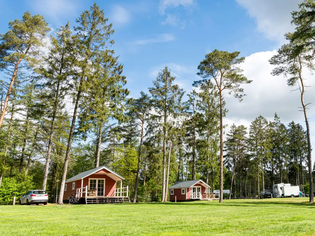 Vuurwerkvrije camping Torentjeshoek te Dwingeloo