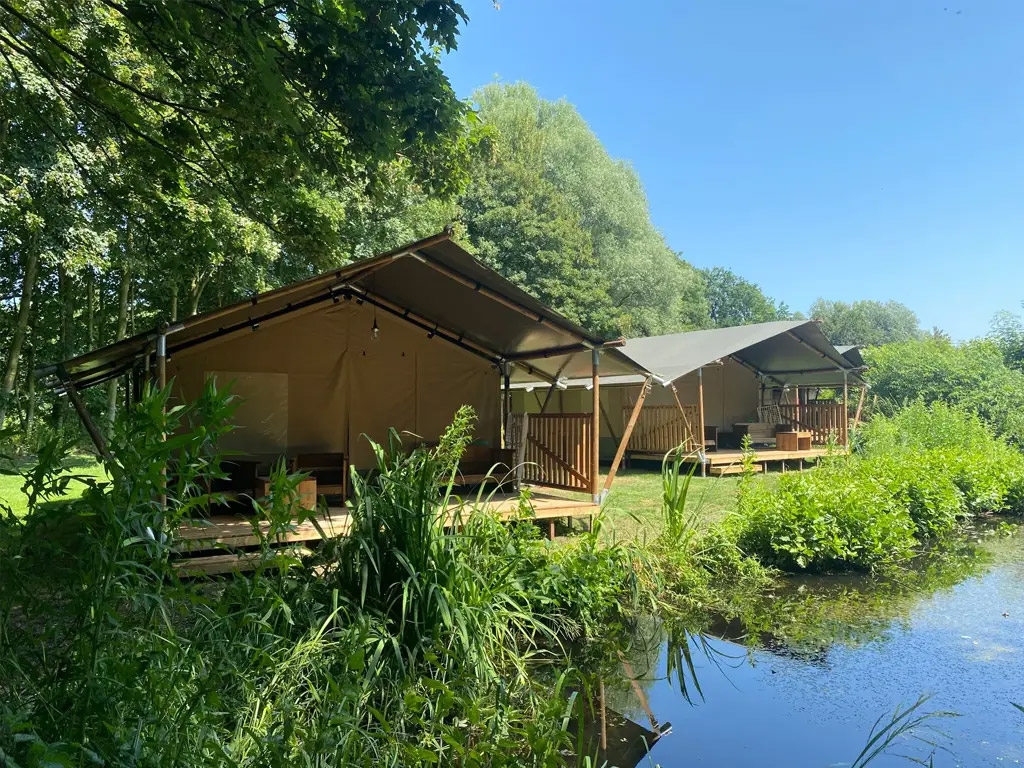 Parkachtige camping in het hart van Friesland