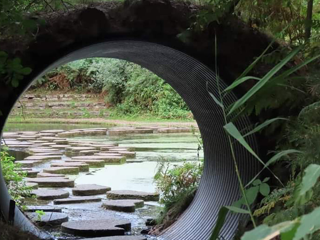 Camping Scholtenhagen 6