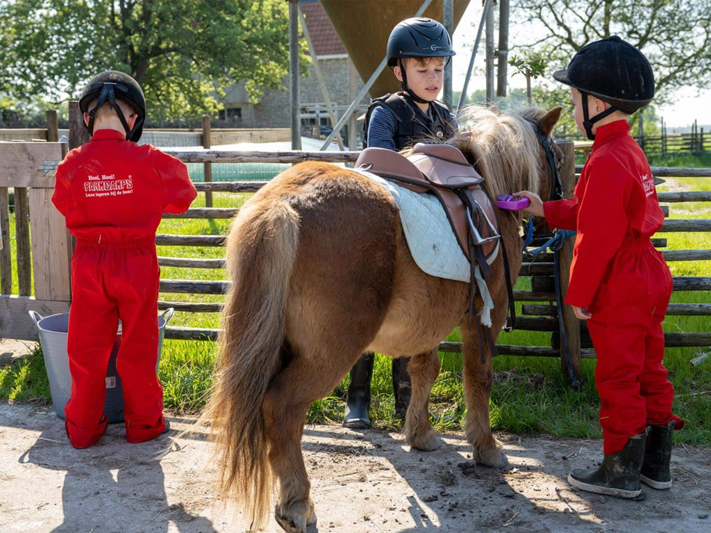 Camping De Bonte Fries 10