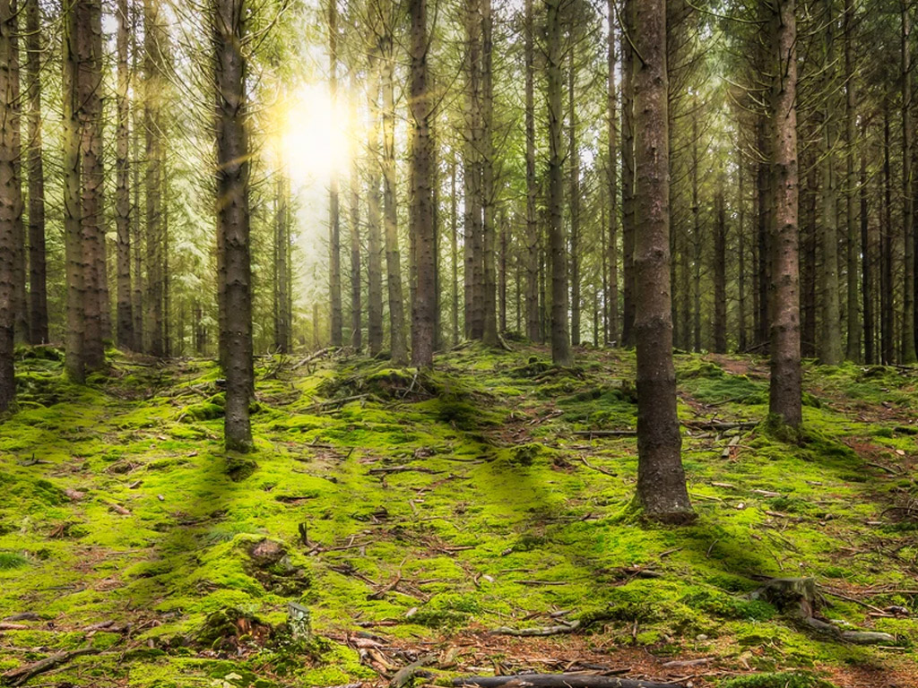 Vakantiepark Golden Lakes Village 7