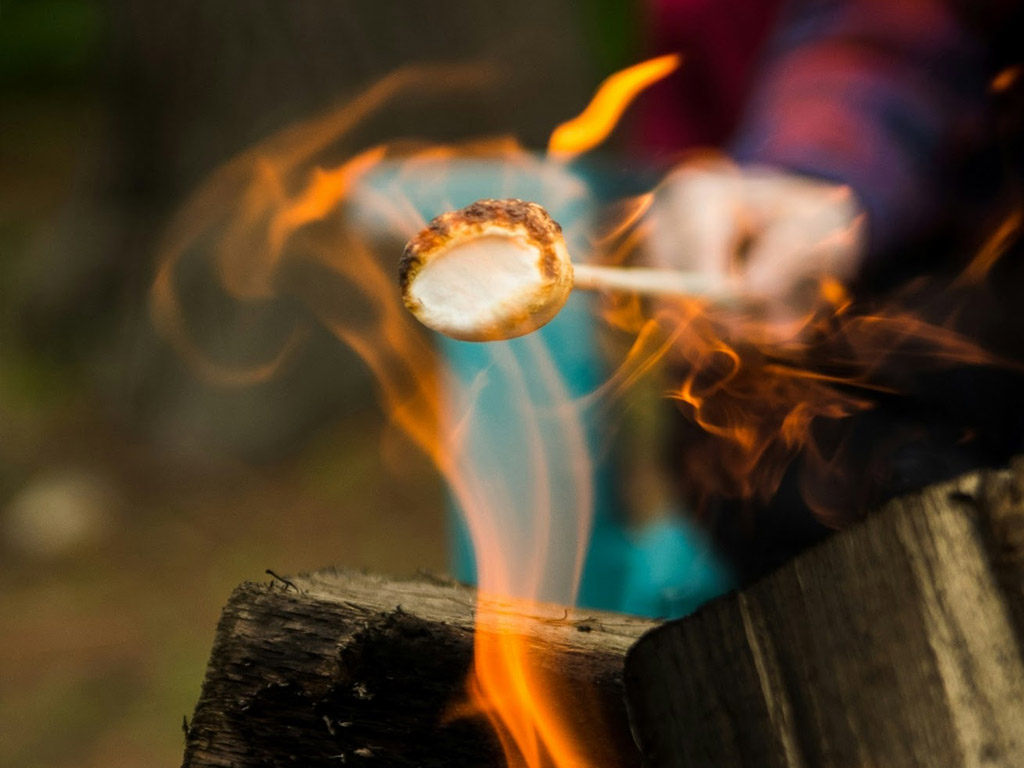 Kampvuur op de camping