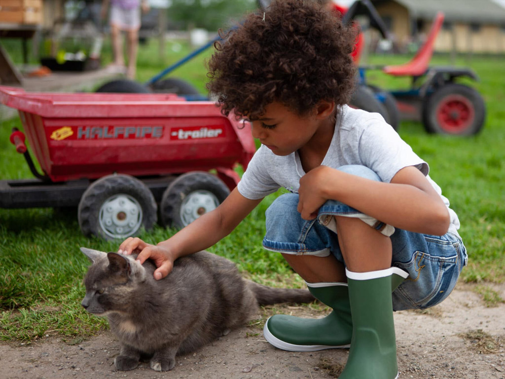 Farmcamps Stolkse Weide 9