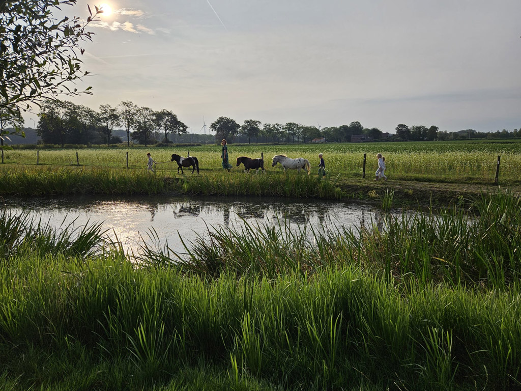Camping Boerderij De Schans 4
