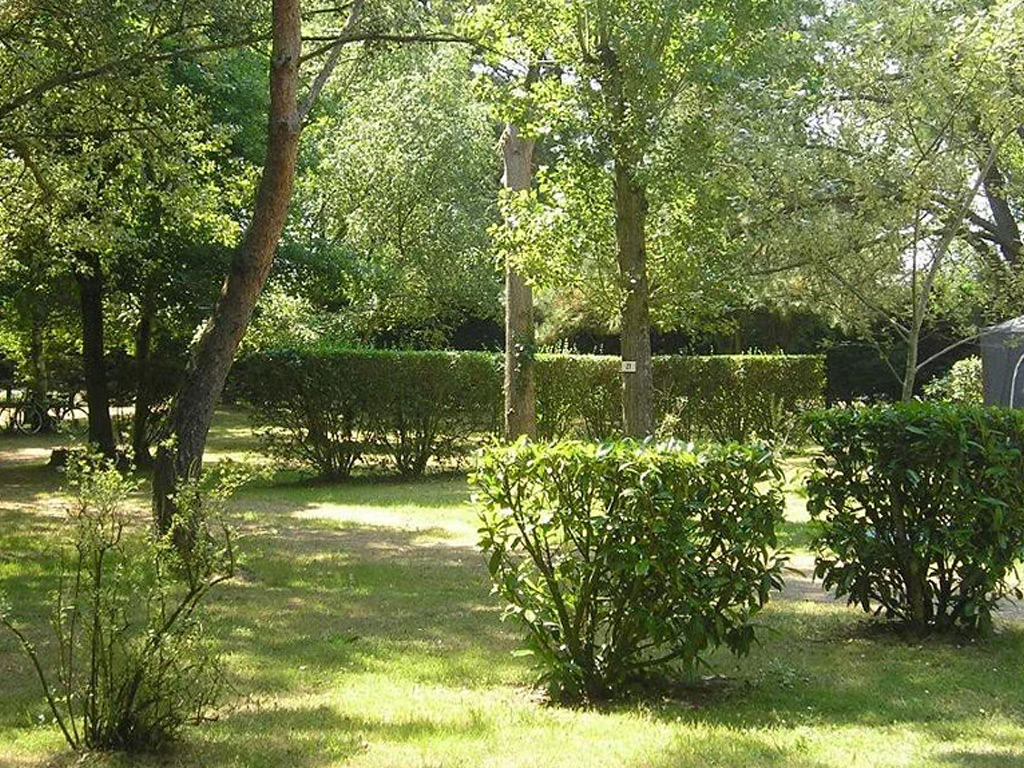 Camping Domaine Des Renardieres 7