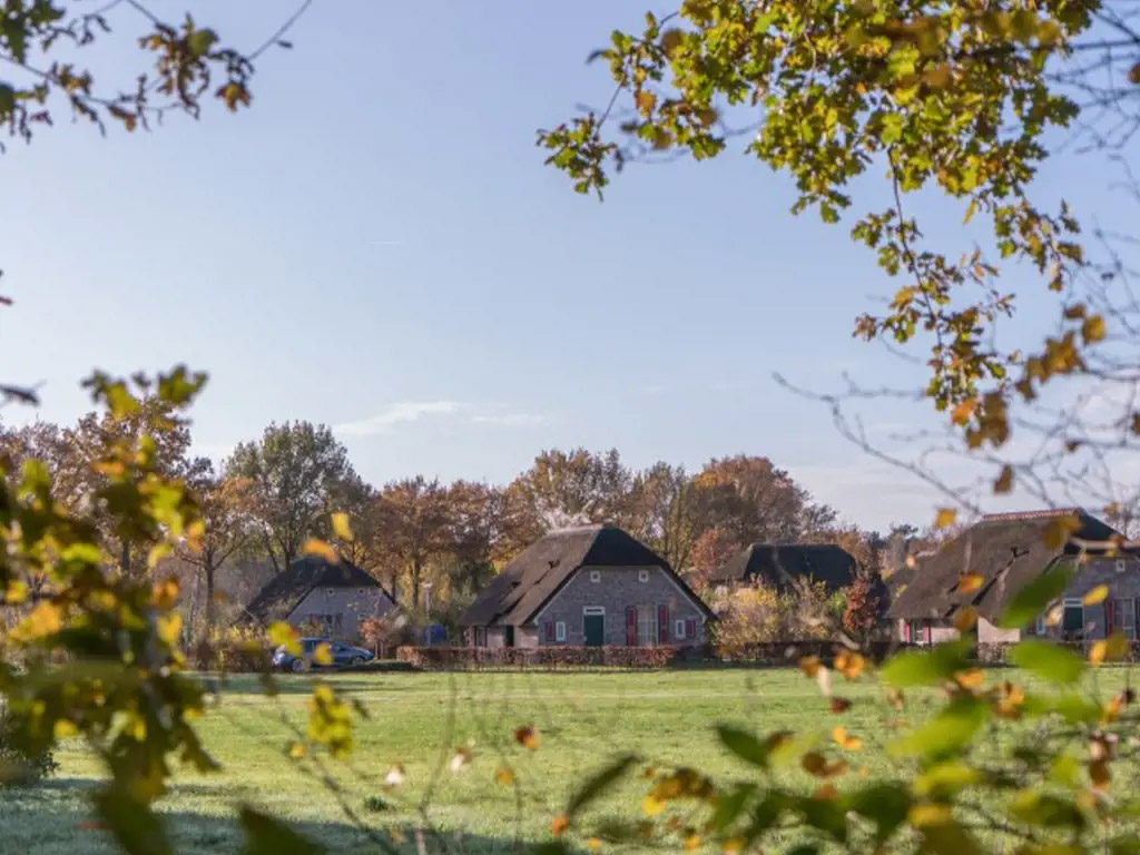 Vuurwerkvrij voor mens, hond en paard