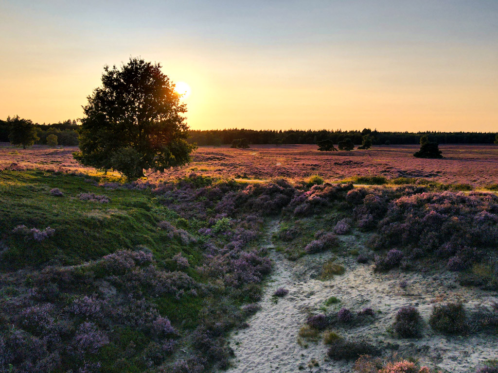 Wandelen in Nederland vanaf de camping