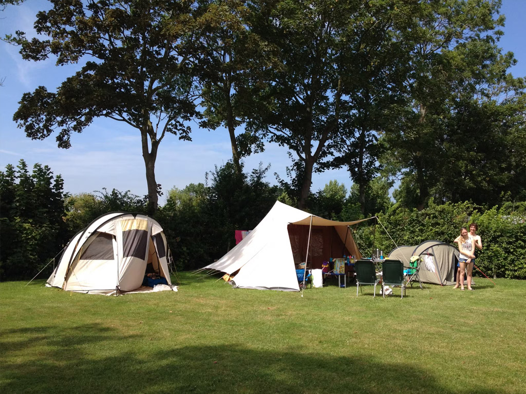 Minicamping Westerwijk 5
