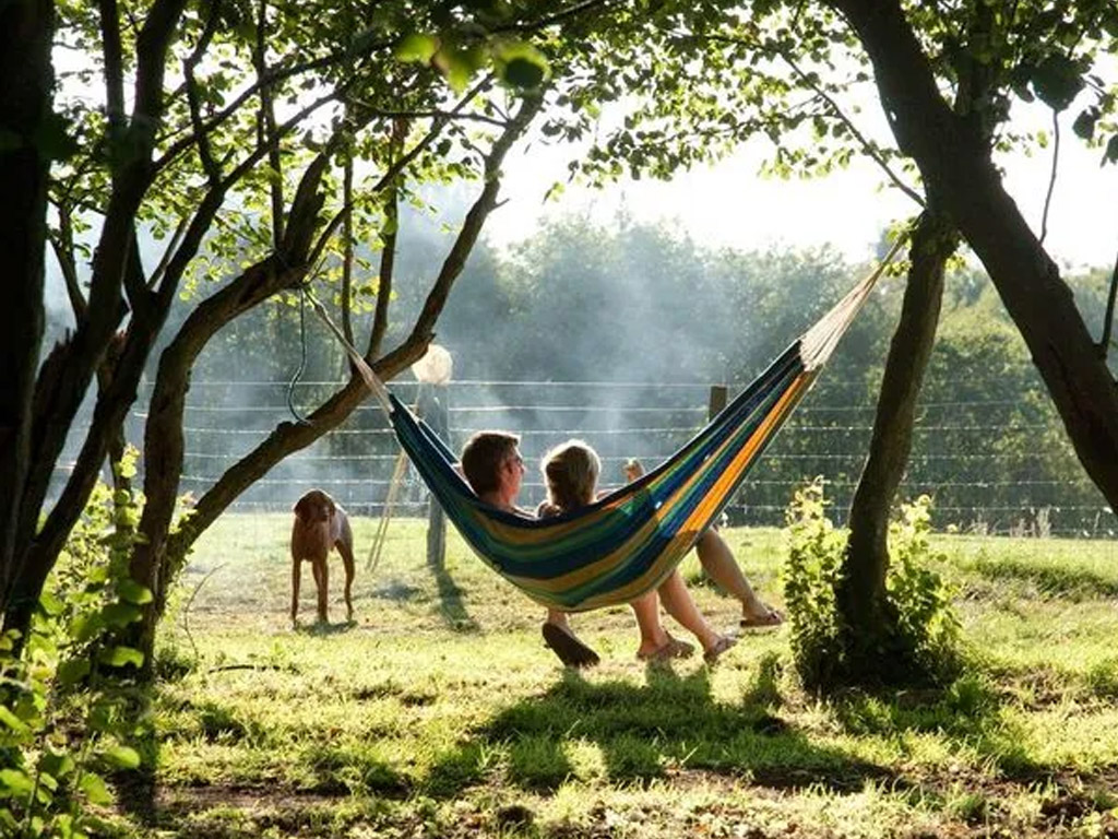 Ferme De Rochefort En Ardenne 3