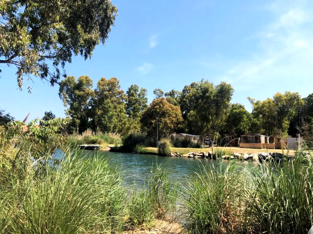 Kamperen onder de pijn- en eucalyptusbomen aan een franse rivier