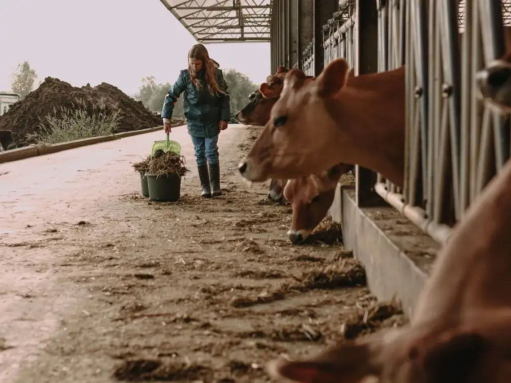 Logeren bij Ann en Filip in de Westhoek