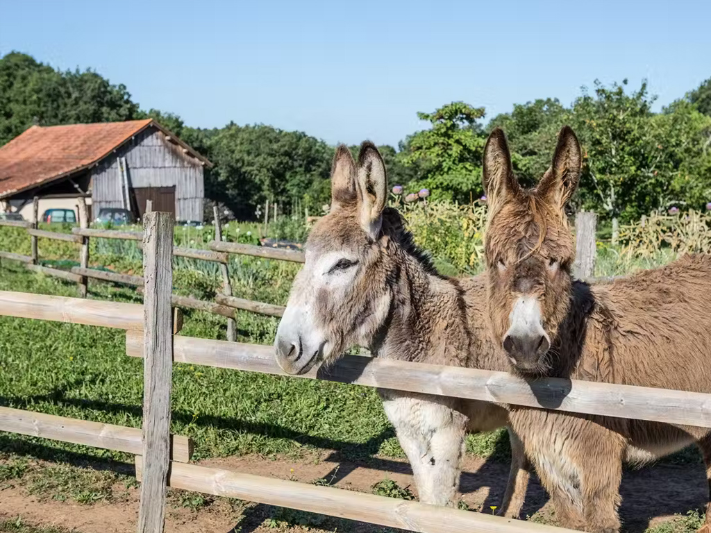 Camping Domaine De Fromengal 2