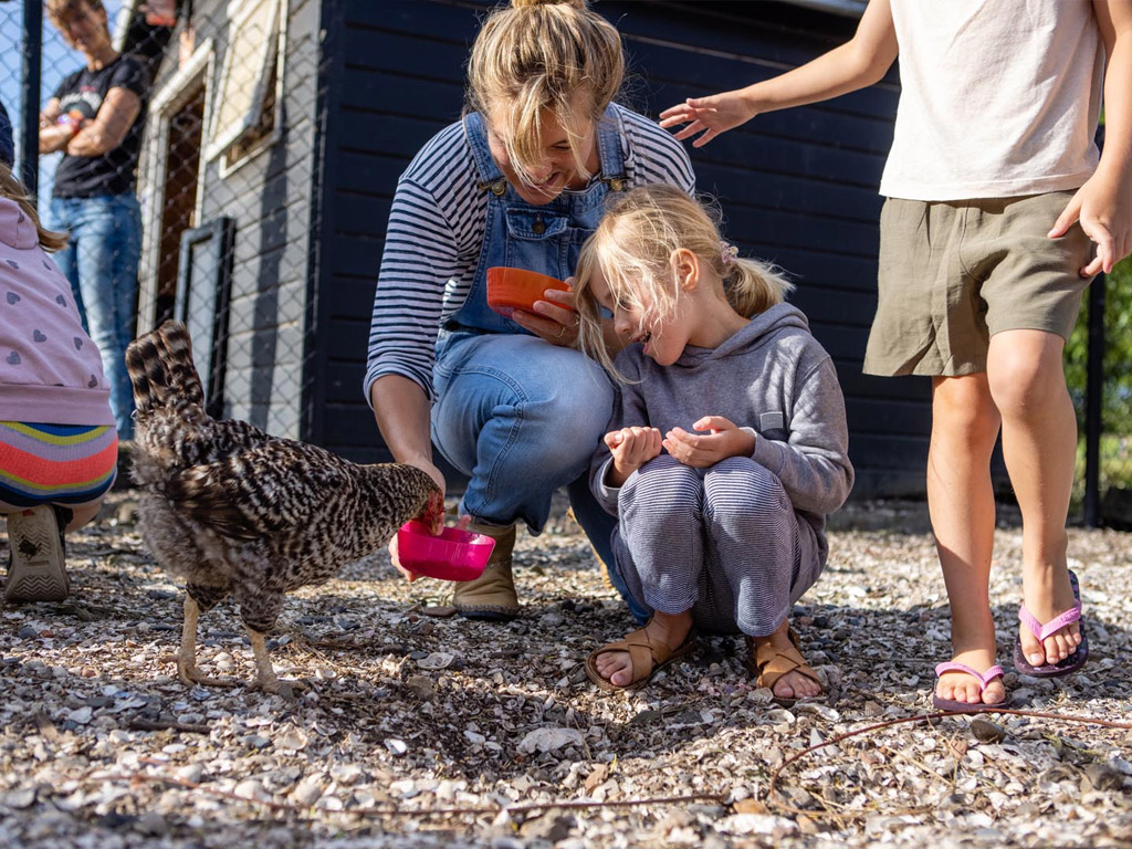 Farmcamps De Kamperhoek 11
