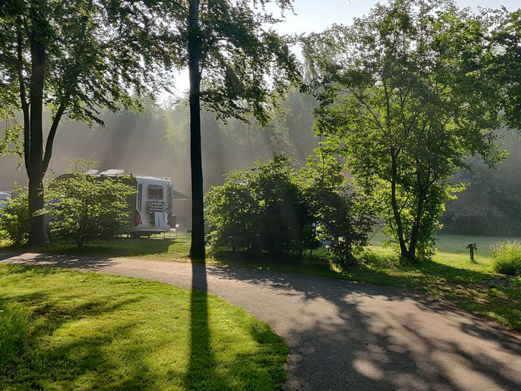 Camping in een bosrijke omgeving met veel aanpassingen voor mindervaliden