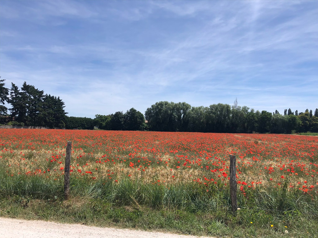 Camping Bois Girault 2