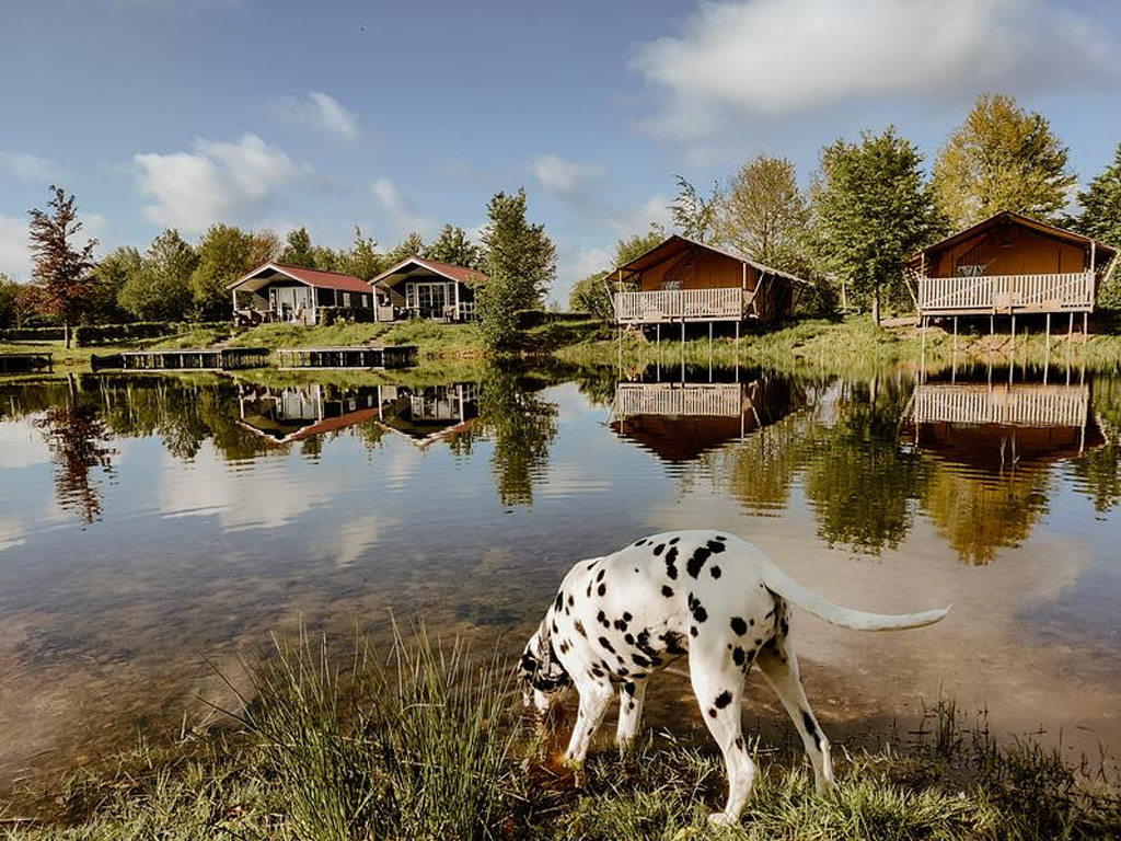 Vakantiepark Eigen Wijze 8