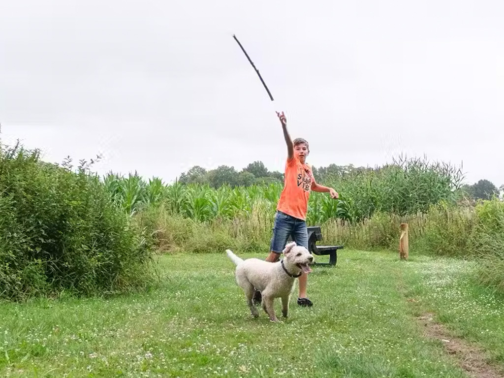 Camping in Overijssel met hond