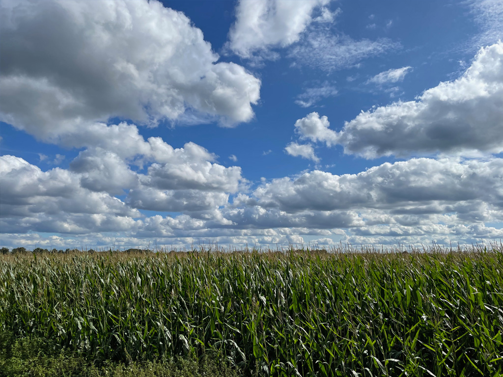 Boerderijcamping Niks Hoeve 5