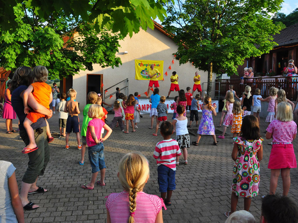 Camping Du Bois Du Reveuge 4