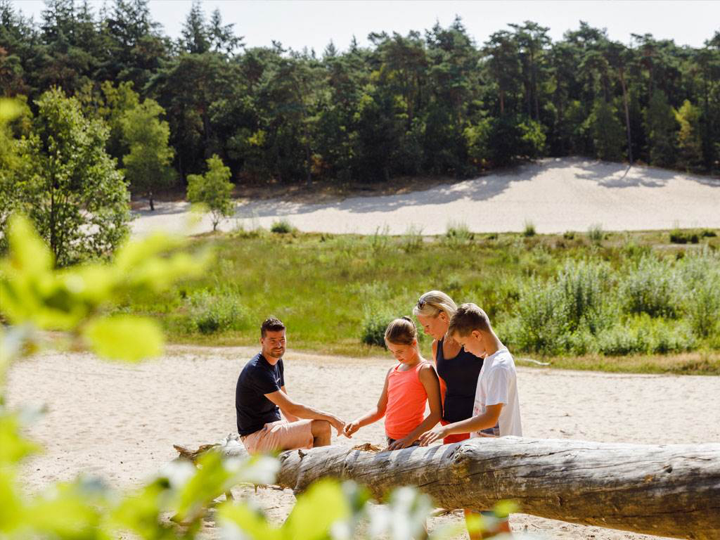 RCN Vakantiepark het Grote Bos - Het ultieme gevoel van 'lekker buiten zijn' op steenworp afstand van Utrecht.