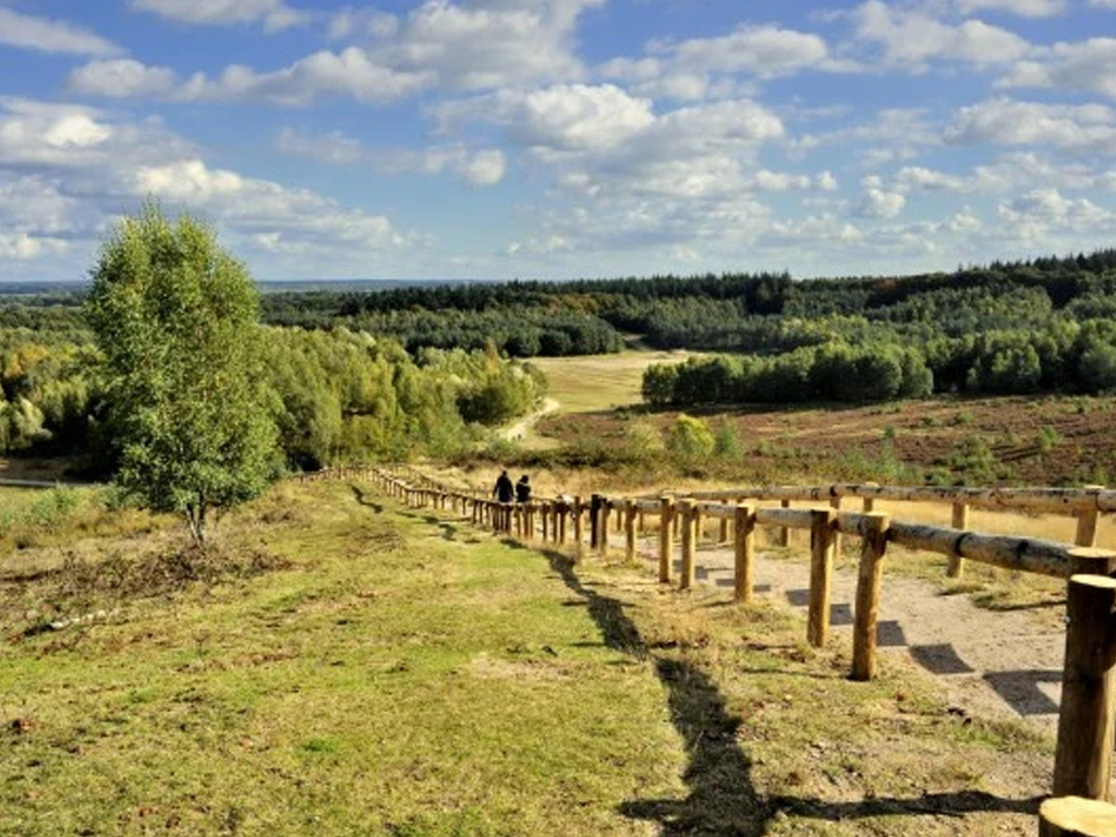 Camping Bos Park Bilthoven 10