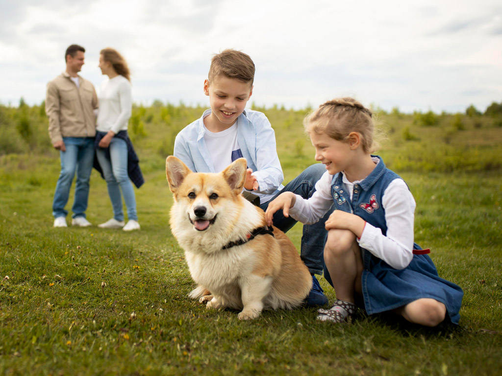Op vakantie met een hond