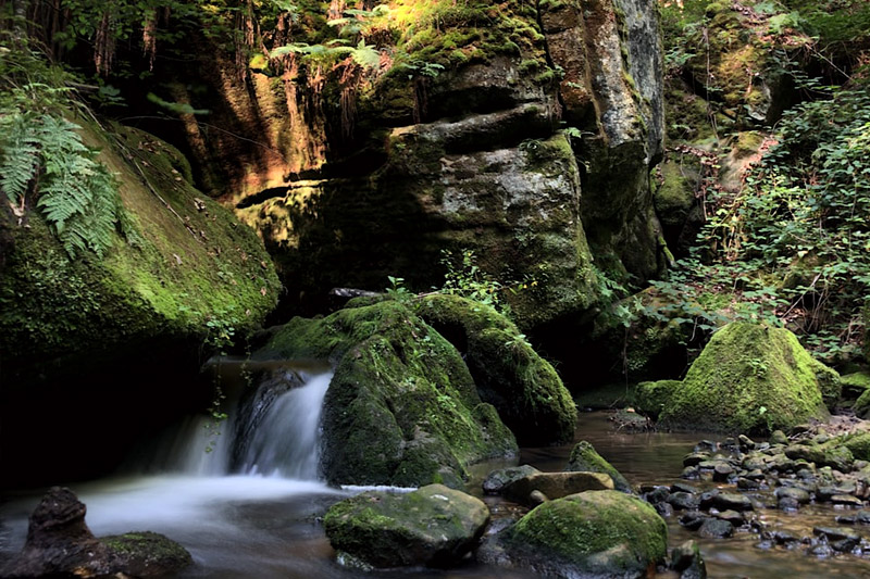 Ontdek de ongerepte natuur van Luxemburgs Klein Zwitserland