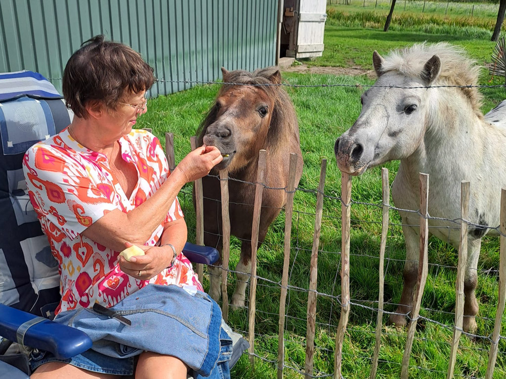 Camping Boerderij De Schans 6