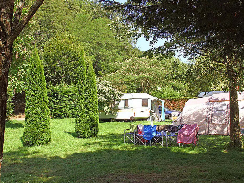 Flower Camping L Arize 7