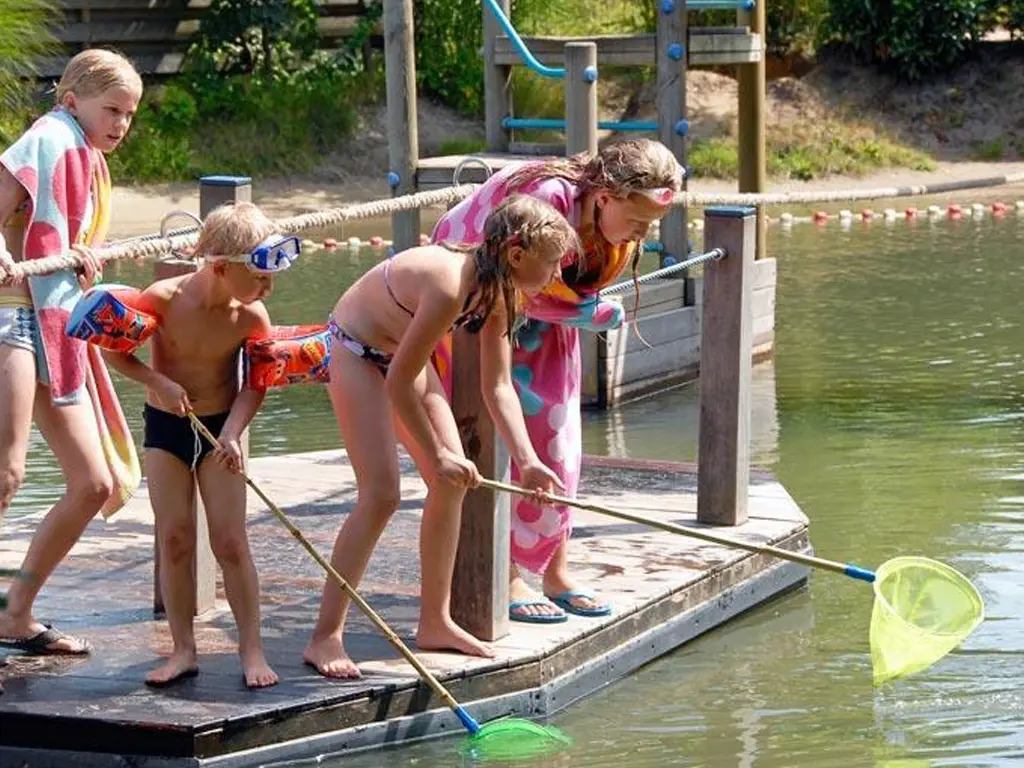 Vijfsterren camping op de Veluwe