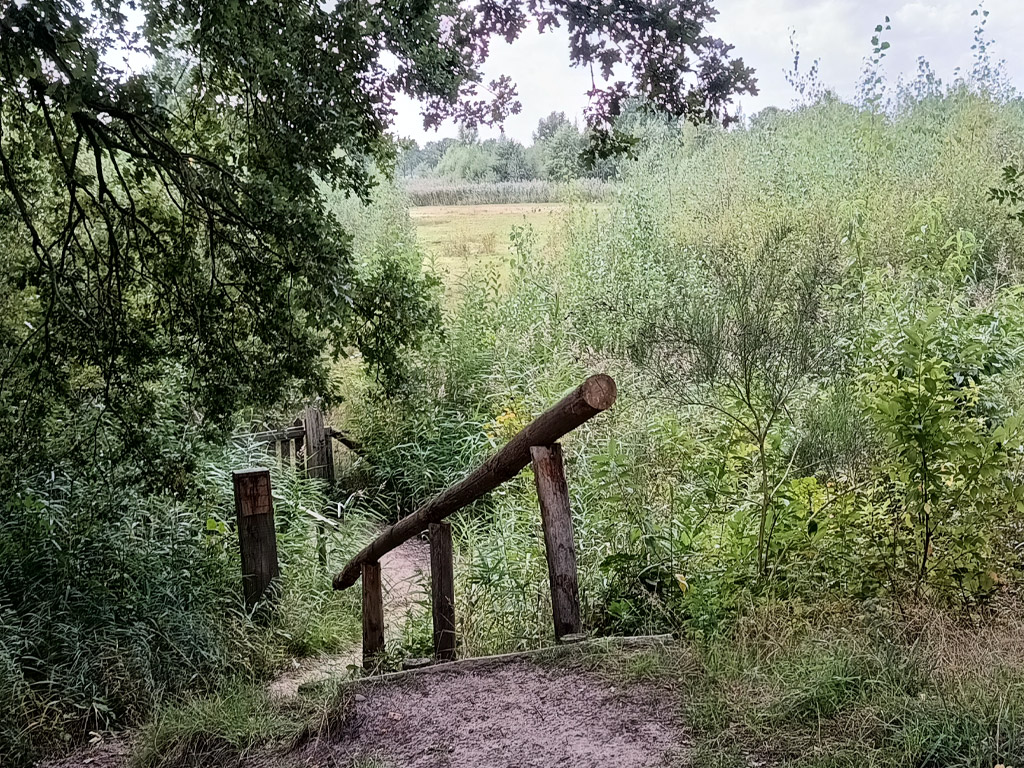 Camperplaats Uden Maashorst 7