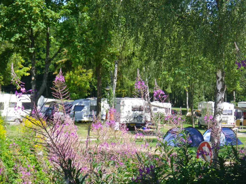 Parkachtige camping vlakbij burchtstadje Larochette